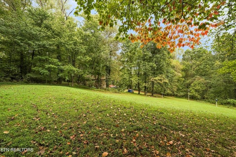Tiny photo for 134 McKinney Rd, Harriman, TN 37748 (MLS # 1355794)