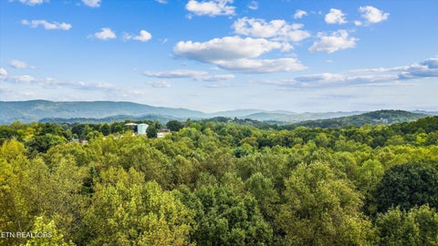 Tiny photo for 134 McKinney Rd, Harriman, TN 37748 (MLS # 1355794)