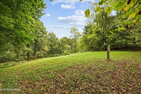 Tiny photo for 134 McKinney Rd, Harriman, TN 37748 (MLS # 1355794)