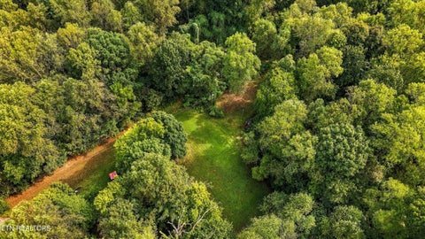 Tiny photo for 134 McKinney Rd, Harriman, TN 37748 (MLS # 1355794)