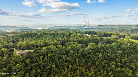 Tiny photo for 134 McKinney Rd, Harriman, TN 37748 (MLS # 1355794)