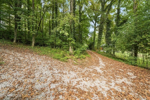 Tiny photo for 134 McKinney Rd, Harriman, TN 37748 (MLS # 1355794)