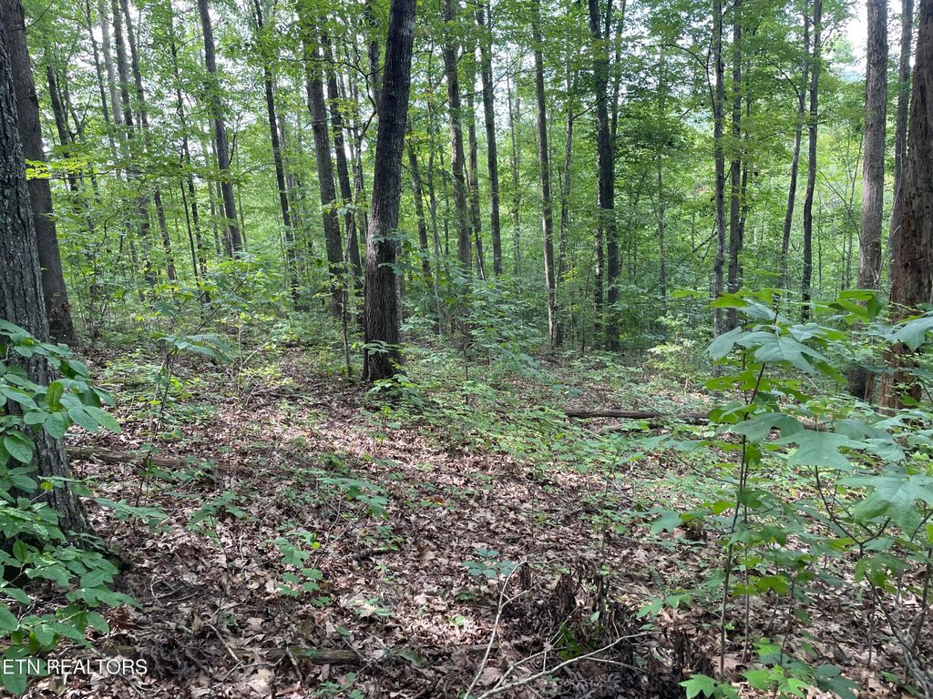Photo of Hurricane Rd, Huntsville, TN 37756 (MLS # 1239157)