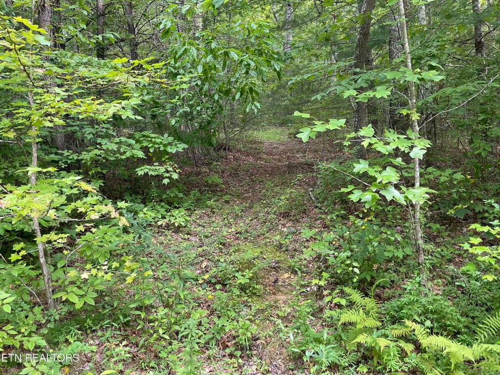 Photo of Hurricane Rd, Huntsville, TN 37756 (MLS # 1239157)