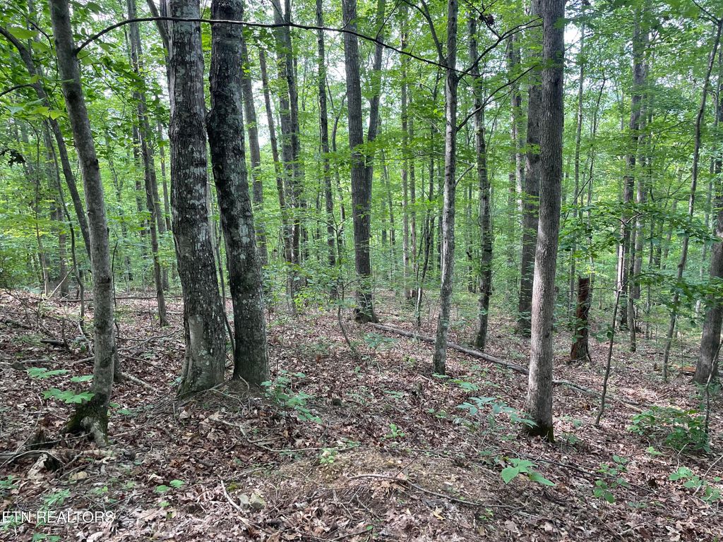 Photo of Hurricane Rd, Huntsville, TN 37756 (MLS # 1239157)