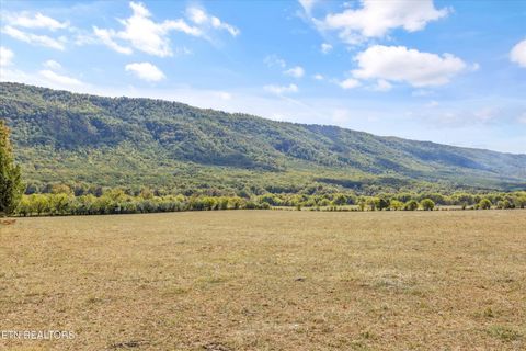 00 County Road 875 Etowah TN 37331