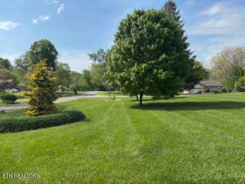 Photo of 247 Valley Lane, Crossville, TN 38555 (MLS # 1302602)