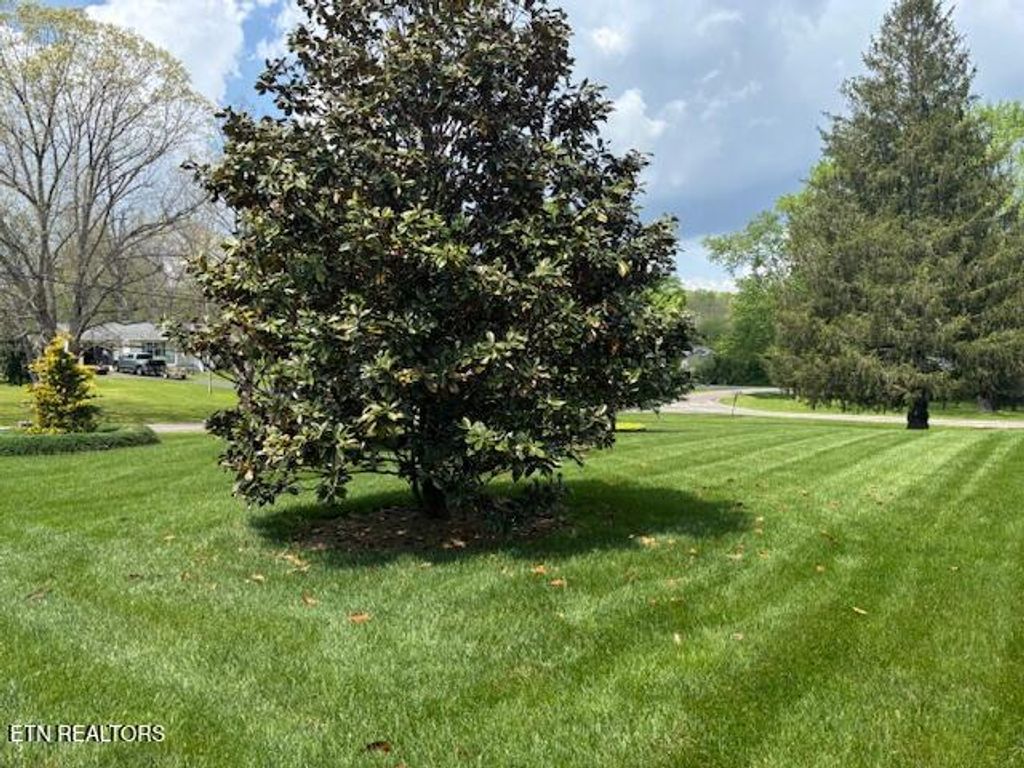 Photo of 247 Valley Lane, Crossville, TN 38555 (MLS # 1302602)