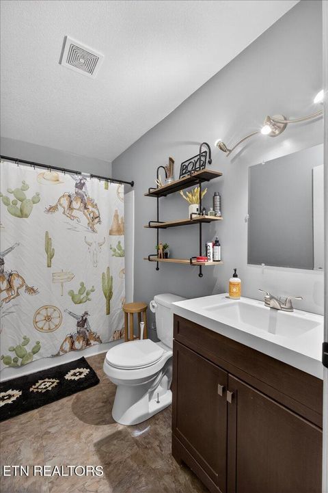 Tiny photo for 2560 Schisandra Lane, Cosby, TN 37722 (MLS # 1339251)