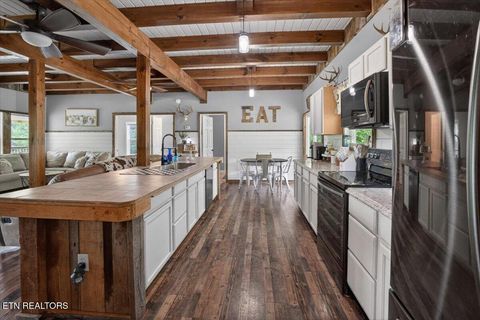 Tiny photo for 2560 Schisandra Lane, Cosby, TN 37722 (MLS # 1339251)