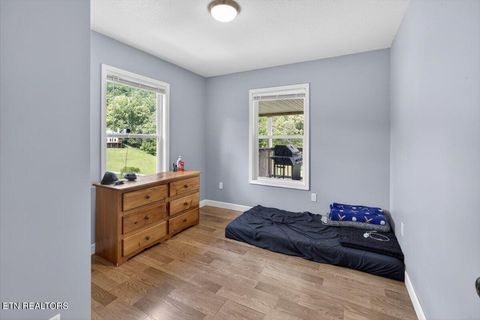Tiny photo for 2560 Schisandra Lane, Cosby, TN 37722 (MLS # 1339251)