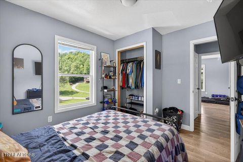 Tiny photo for 2560 Schisandra Lane, Cosby, TN 37722 (MLS # 1339251)