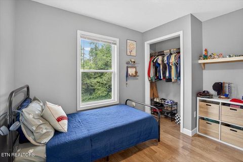 Tiny photo for 2560 Schisandra Lane, Cosby, TN 37722 (MLS # 1339251)