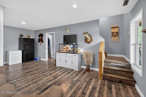 Tiny photo for 2560 Schisandra Lane, Cosby, TN 37722 (MLS # 1339251)