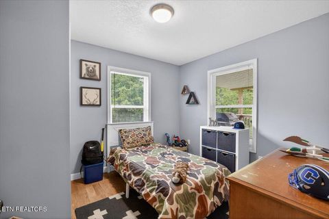 Tiny photo for 2560 Schisandra Lane, Cosby, TN 37722 (MLS # 1339251)