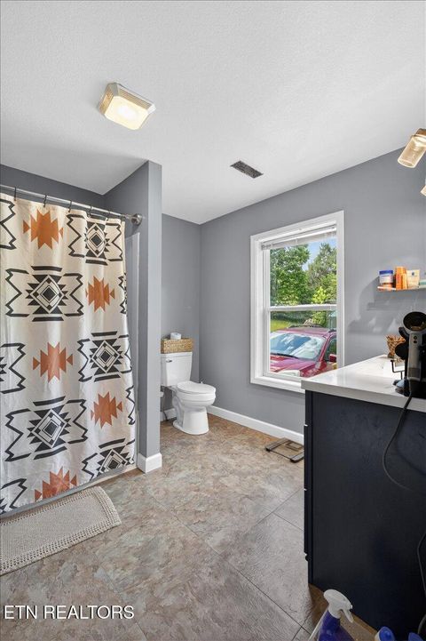 Tiny photo for 2560 Schisandra Lane, Cosby, TN 37722 (MLS # 1339251)