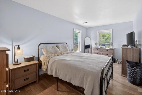 Tiny photo for 2560 Schisandra Lane, Cosby, TN 37722 (MLS # 1339251)