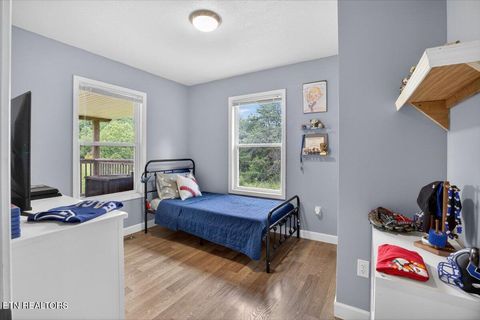 Tiny photo for 2560 Schisandra Lane, Cosby, TN 37722 (MLS # 1339251)