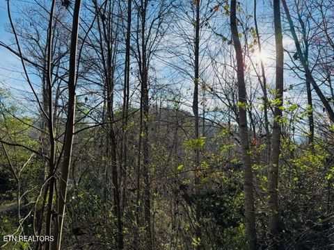 Tiny photo for 1550 Chapel Hollow Rd, Del Rio, TN 37727 (MLS # 1283955)
