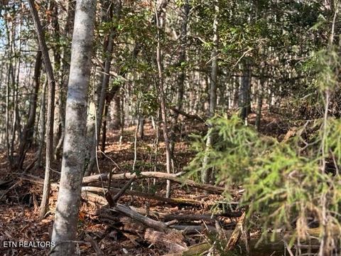 Tiny photo for 1550 Chapel Hollow Rd, Del Rio, TN 37727 (MLS # 1283955)