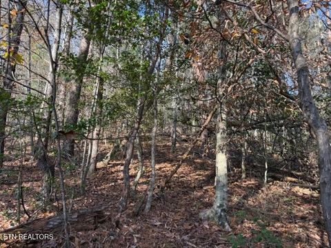 Tiny photo for 1550 Chapel Hollow Rd, Del Rio, TN 37727 (MLS # 1283955)
