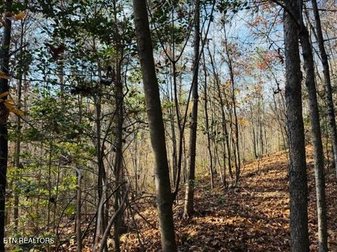 Tiny photo for 1550 Chapel Hollow Rd, Del Rio, TN 37727 (MLS # 1283955)