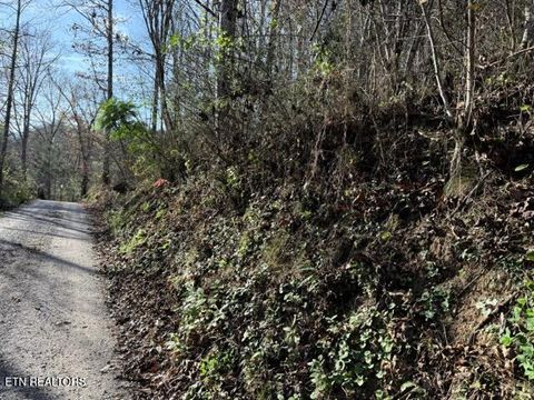 Tiny photo for 1550 Chapel Hollow Rd, Del Rio, TN 37727 (MLS # 1283955)