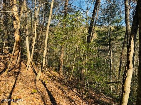 Tiny photo for 1550 Chapel Hollow Rd, Del Rio, TN 37727 (MLS # 1283955)