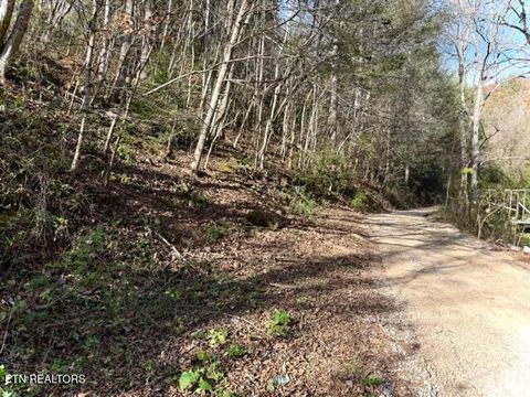 Tiny photo for 1550 Chapel Hollow Rd, Del Rio, TN 37727 (MLS # 1283955)