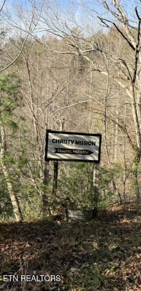 Tiny photo for 1550 Chapel Hollow Rd, Del Rio, TN 37727 (MLS # 1283955)