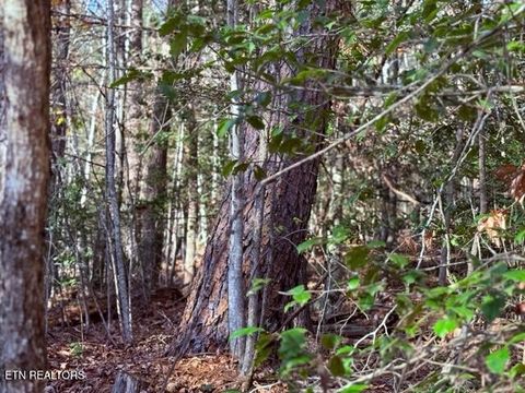 Tiny photo for 1550 Chapel Hollow Rd, Del Rio, TN 37727 (MLS # 1283955)