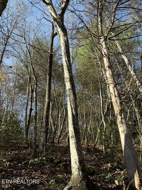 Tiny photo for 1550 Chapel Hollow Rd, Del Rio, TN 37727 (MLS # 1283955)