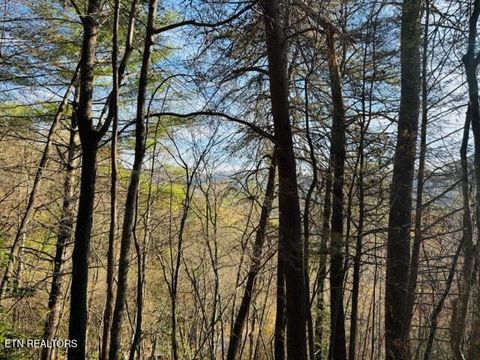 Tiny photo for 1550 Chapel Hollow Rd, Del Rio, TN 37727 (MLS # 1283955)