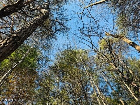Tiny photo for 1550 Chapel Hollow Rd, Del Rio, TN 37727 (MLS # 1283955)