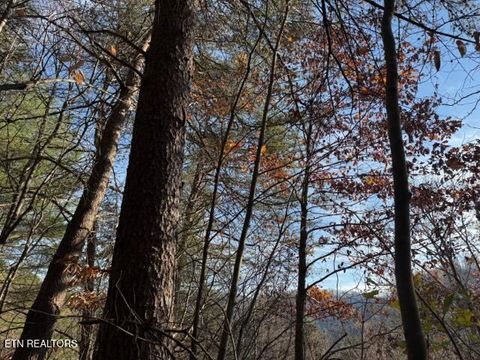Tiny photo for 1550 Chapel Hollow Rd, Del Rio, TN 37727 (MLS # 1283955)