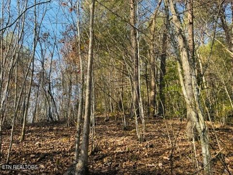 Tiny photo for 1550 Chapel Hollow Rd, Del Rio, TN 37727 (MLS # 1283955)