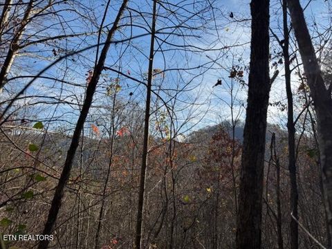 Tiny photo for 1550 Chapel Hollow Rd, Del Rio, TN 37727 (MLS # 1283955)