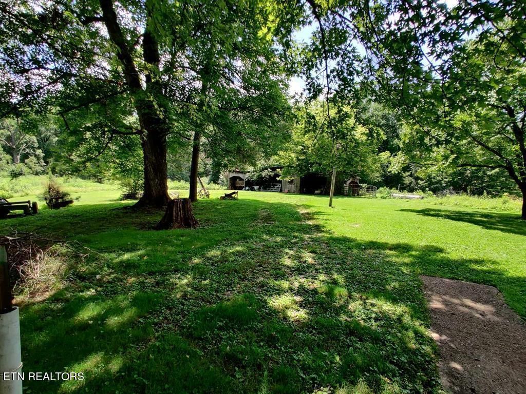 Photo of 161 Tom Henry Rd Rd, Townsend, TN 37882 (MLS # 1251750)