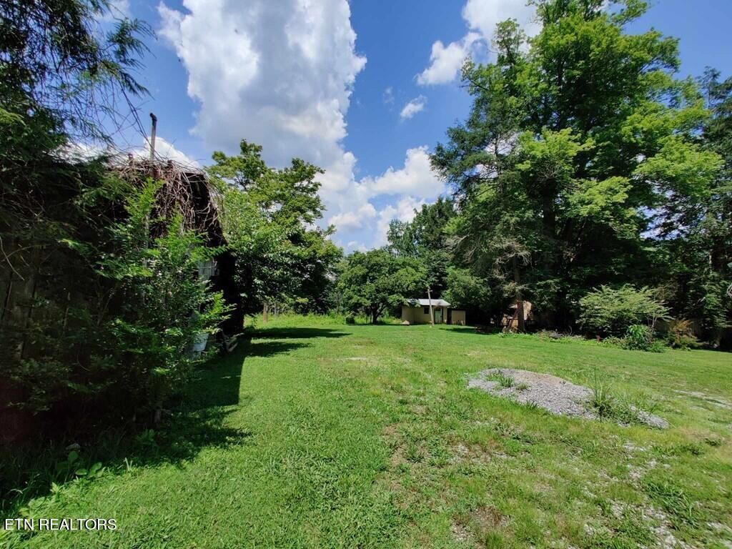 Photo of 161 Tom Henry Rd Rd, Townsend, TN 37882 (MLS # 1251750)