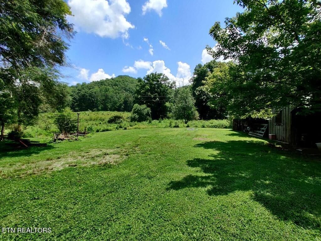 Photo of 161 Tom Henry Rd Rd, Townsend, TN 37882 (MLS # 1251750)