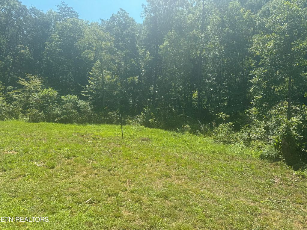 Photo of 3112 Gibson Rd, Strawberry Plains, TN 37871 (MLS # 1281660)