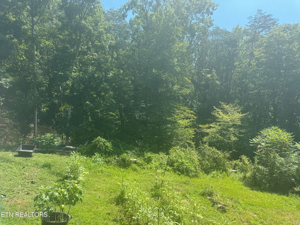 Photo of 3112 Gibson Rd, Strawberry Plains, TN 37871 (MLS # 1281660)