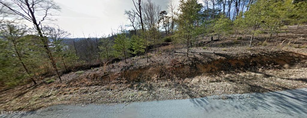 Photo of Emerald Pt, Sharps Chapel, TN 37866 (MLS # 1331697)