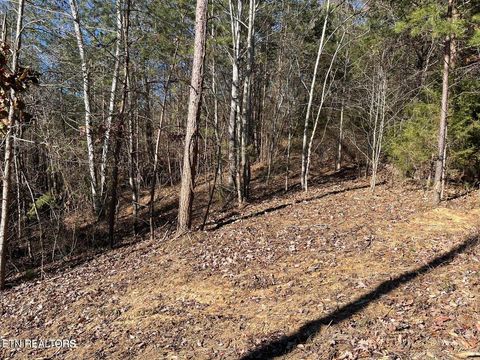 Tiny photo for Emerald Pt, Sharps Chapel, TN 37866 (MLS # 1331697)