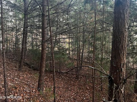 Tiny photo for Emerald Pt, Sharps Chapel, TN 37866 (MLS # 1331697)