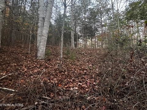 Tiny photo for Emerald Pt, Sharps Chapel, TN 37866 (MLS # 1331697)