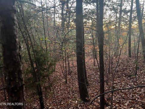 Tiny photo for Emerald Pt, Sharps Chapel, TN 37866 (MLS # 1331697)