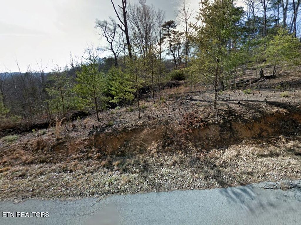 Photo of Emerald Pt, Sharps Chapel, TN 37866 (MLS # 1331697)