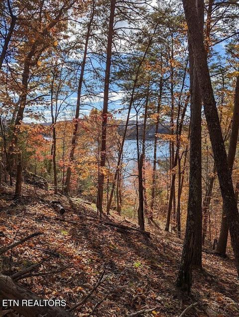 Tiny photo for Emerald Pt, Sharps Chapel, TN 37866 (MLS # 1331697)