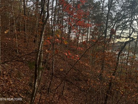 Tiny photo for Emerald Pt, Sharps Chapel, TN 37866 (MLS # 1331697)